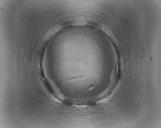 X0000066520681200603201324