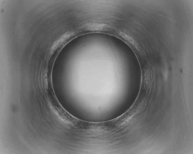 X0000066520682200603201324