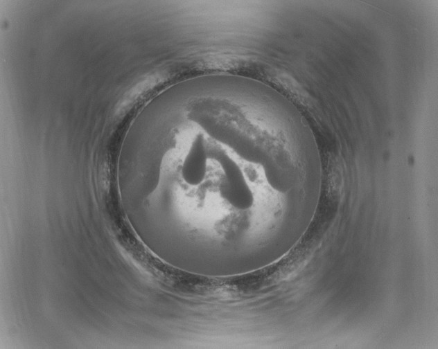 X0000066520683200603201324