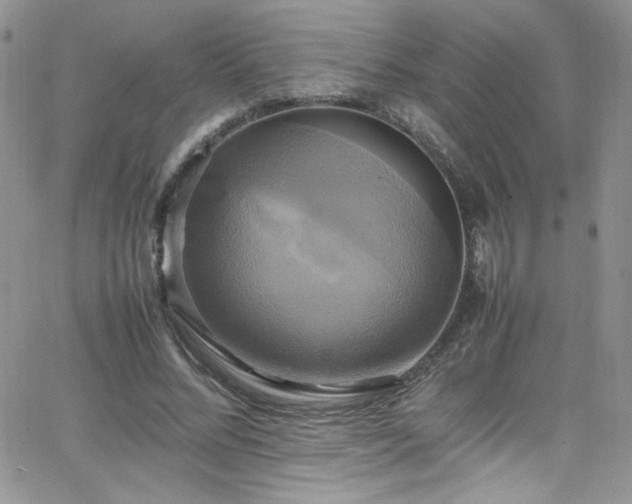 X0000066520684200603201324