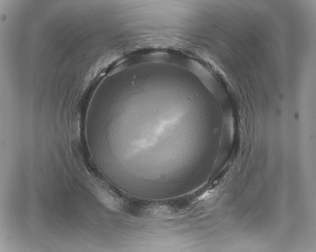 X0000066520685200603201324