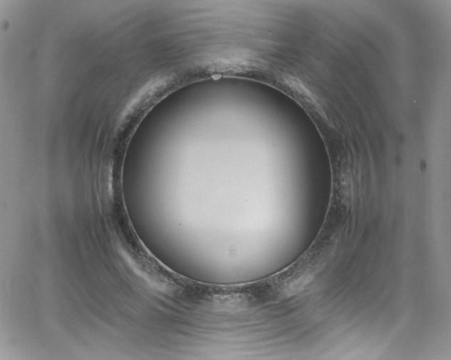 X0000066520686200603201324