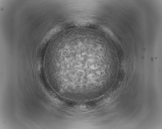 X0000066520687200603201324