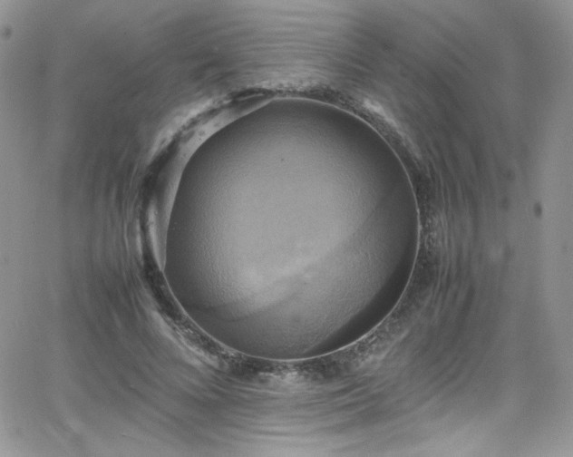 X0000066520688200603201324