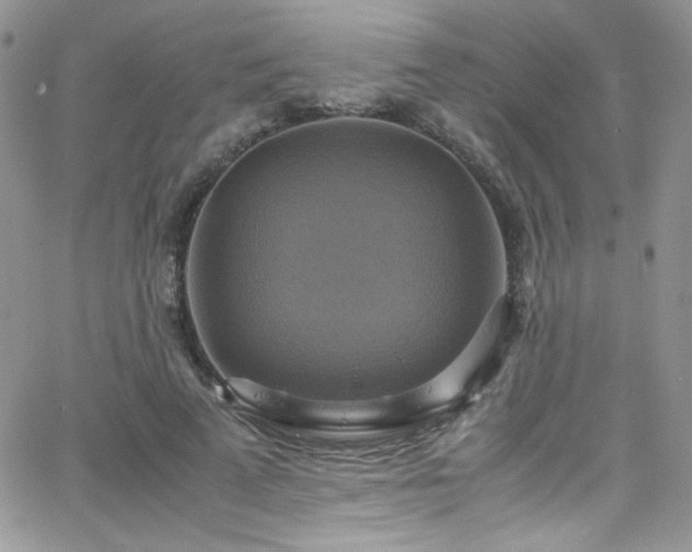 X0000066520689200603201324