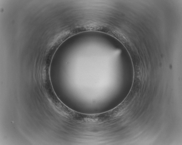 X0000066520690200603201324