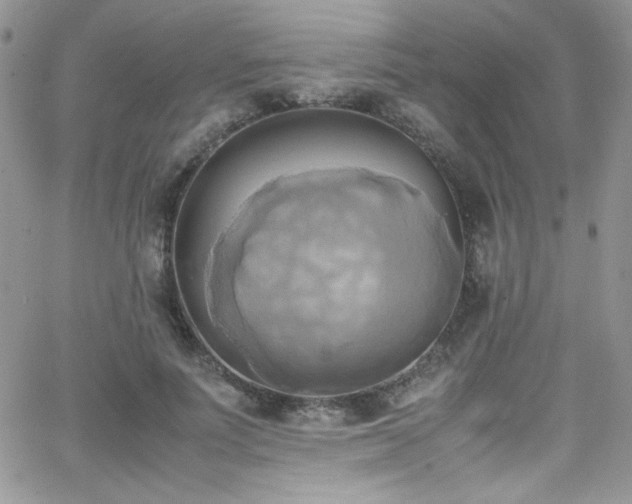 X0000066520691200603201324