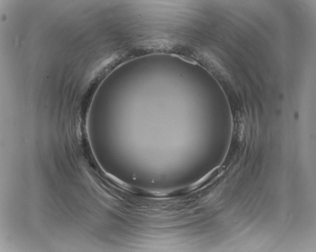 X0000066520692200603201324