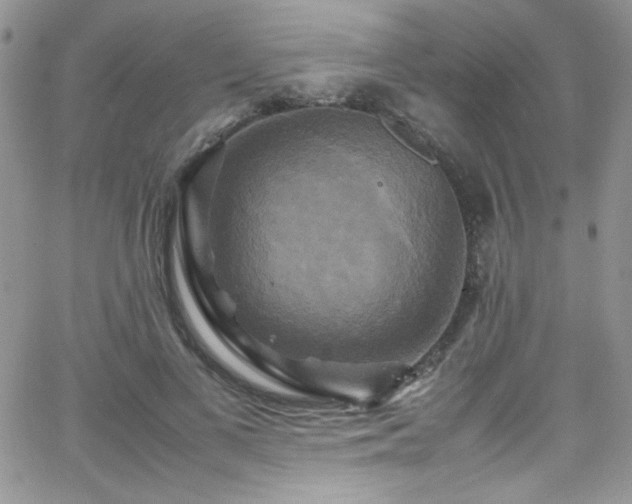 X0000066520693200603201324