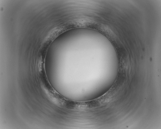 X0000066520694200603201324