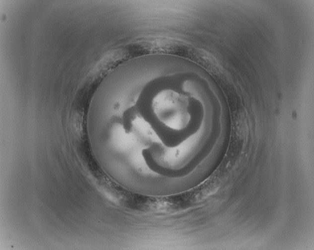 X0000066520695200603201324