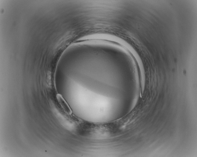 X0000066520696200603201324