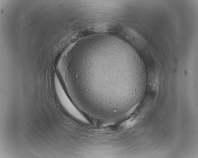 X0000066520697200603201324