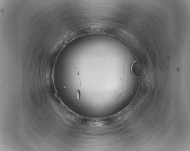 X0000066520698200603201324