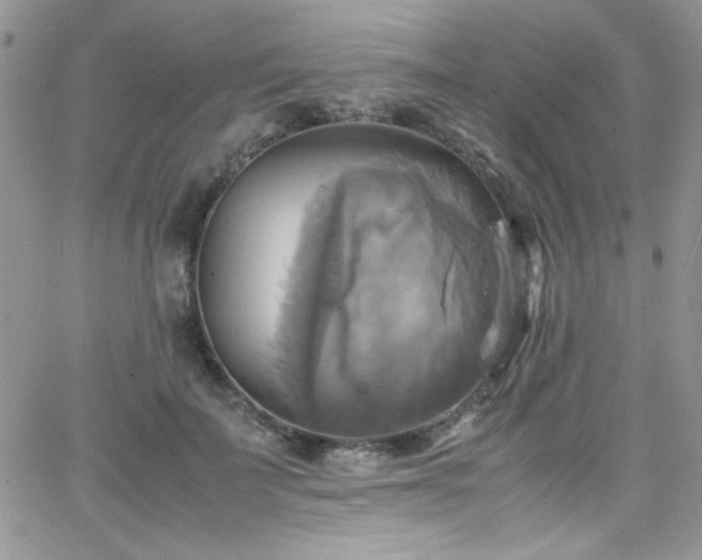 X0000066520699200603201324