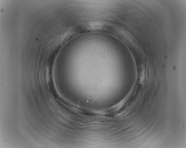 X0000066520700200603201324