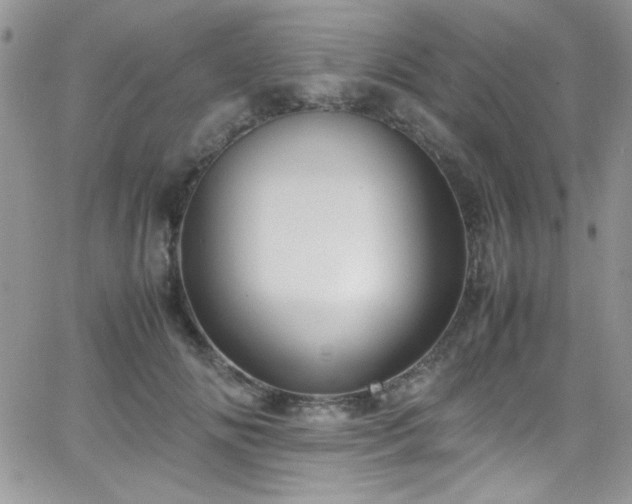 X0000066520702200603201324