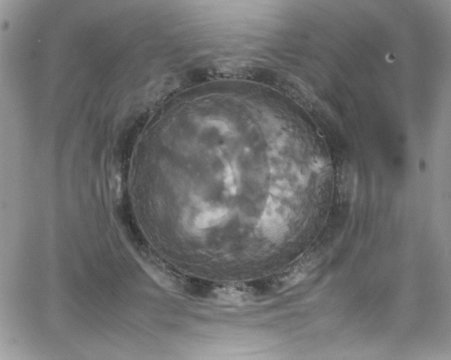 X0000066520703200603201324