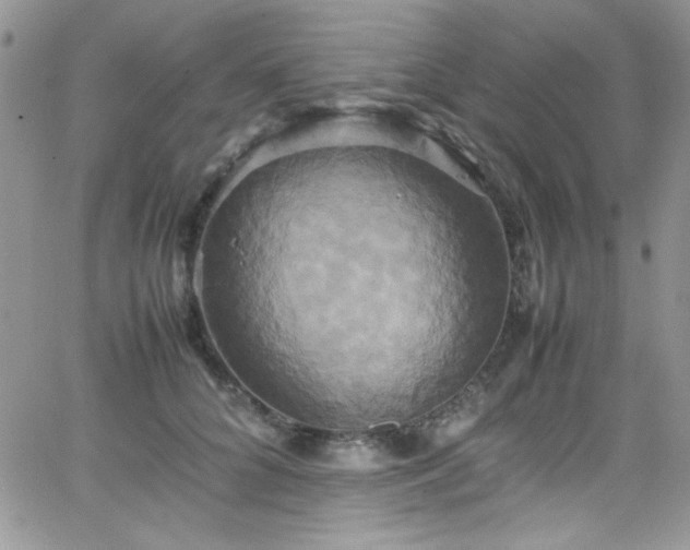 X0000066520704200603201324