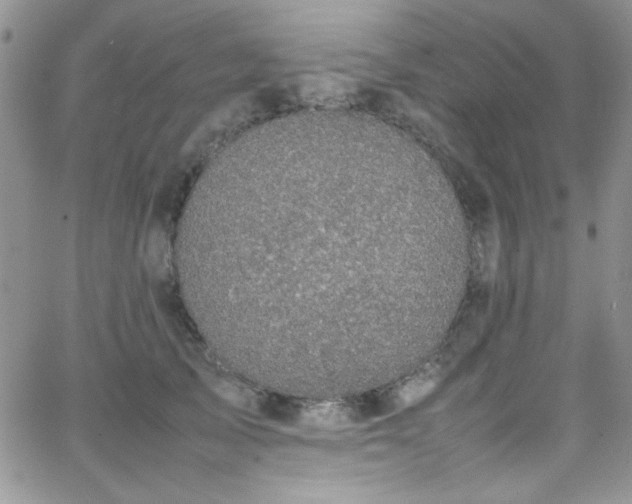 X0000066520705200603201324