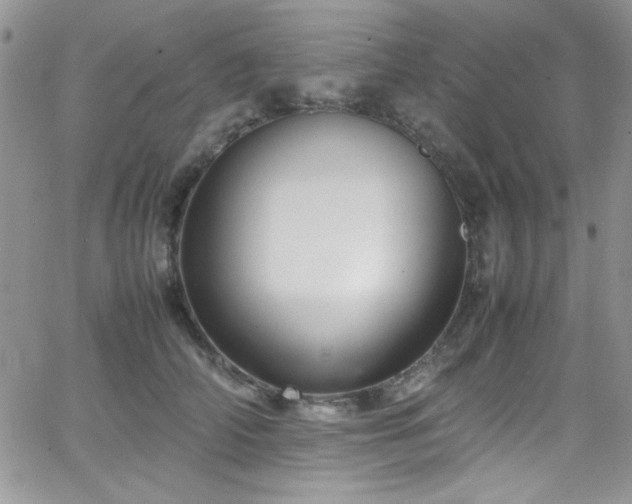 X0000066520706200603201324