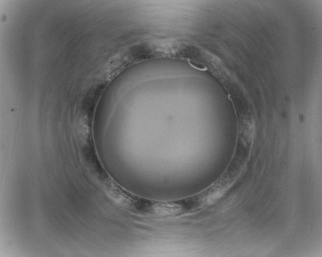 X0000066520707200603201324