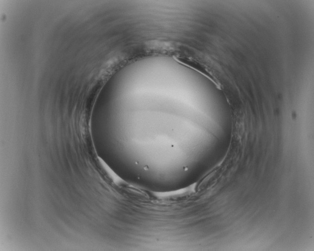 X0000066520708200603201324