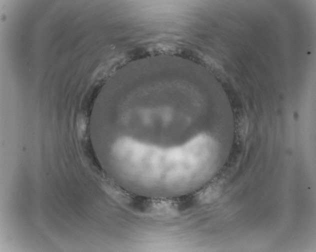 X0000066520709200603201324