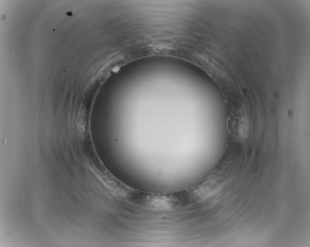 X0000066520710200603201324