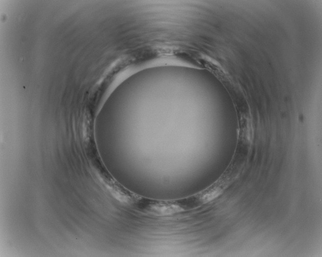 X0000066520712200603201323