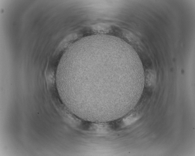 X0000066520713200603201323