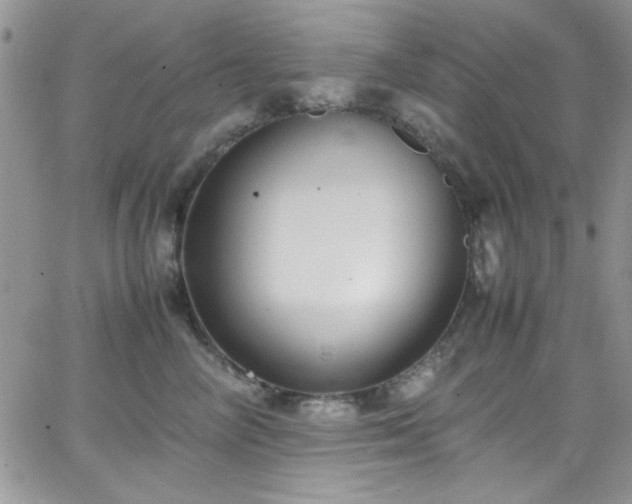 X0000066520714200603201323