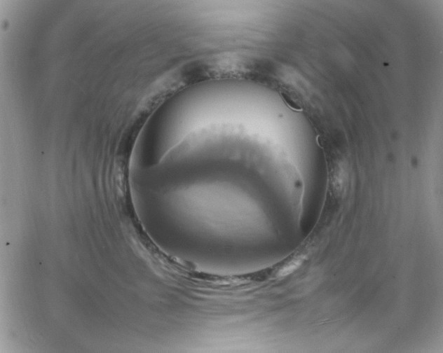 X0000066520715200603201323