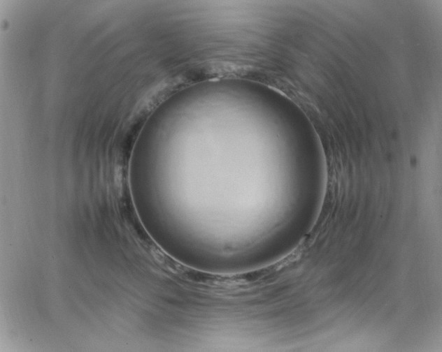 X0000066520716200603201323