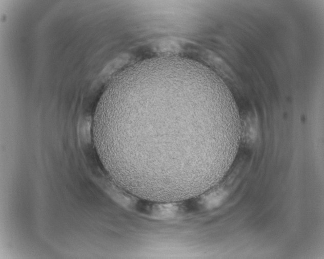 X0000066520717200603201323