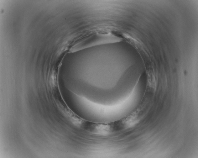 X0000066520718200603201323