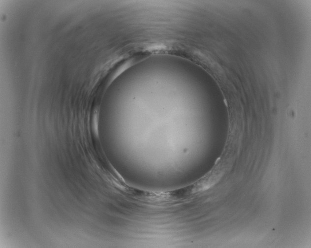 X0000066520720200603201323