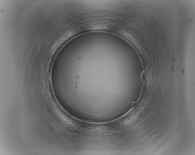 X0000066520721200603201323