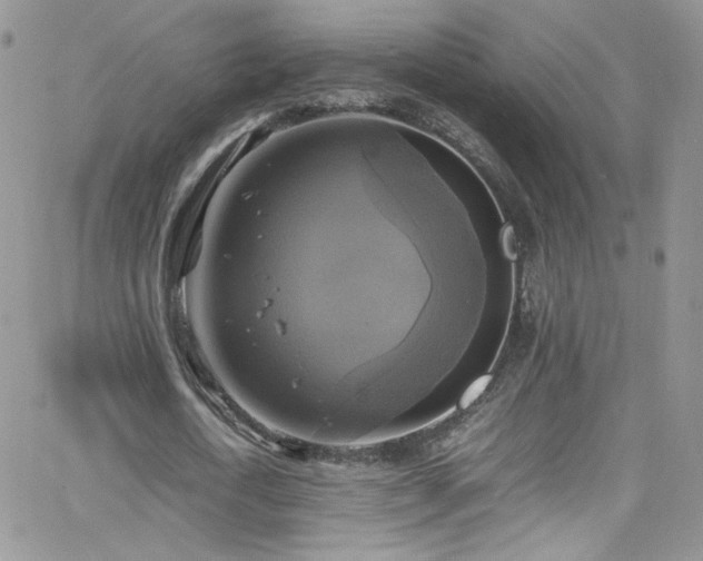 X0000066520722200603201323