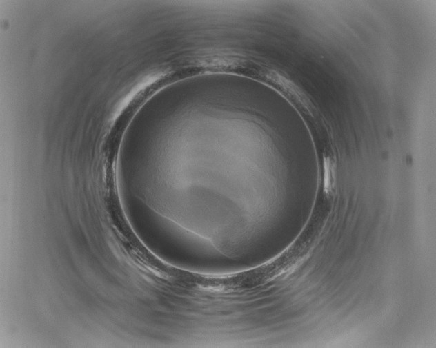 X0000066520723200603201323