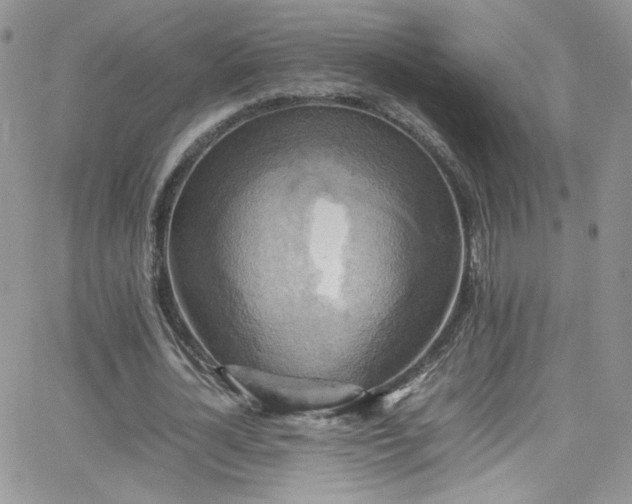 X0000066520724200603201323