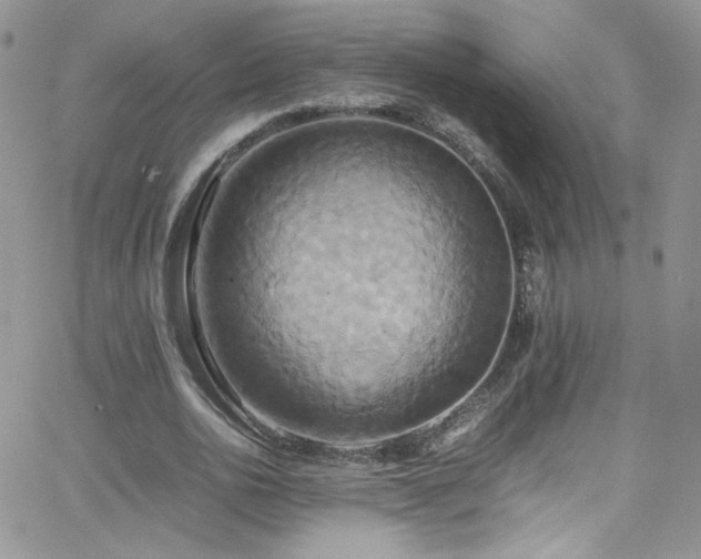 X0000066520726200603201323