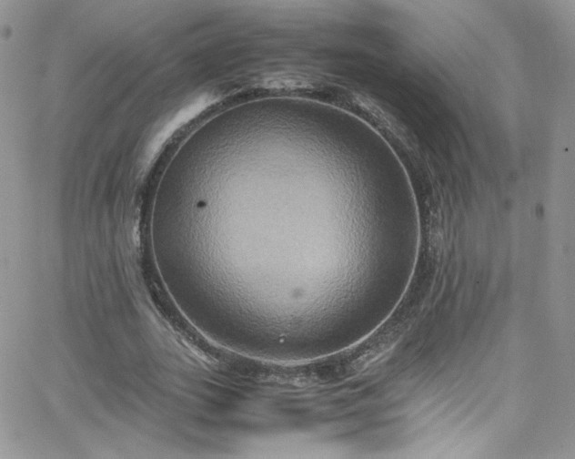 X0000066520727200603201323