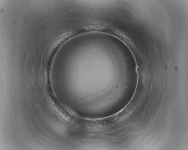 X0000066520729200603201323