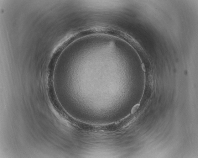 X0000066520730200603201323