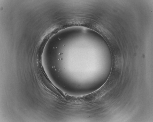 X0000066520731200603201323