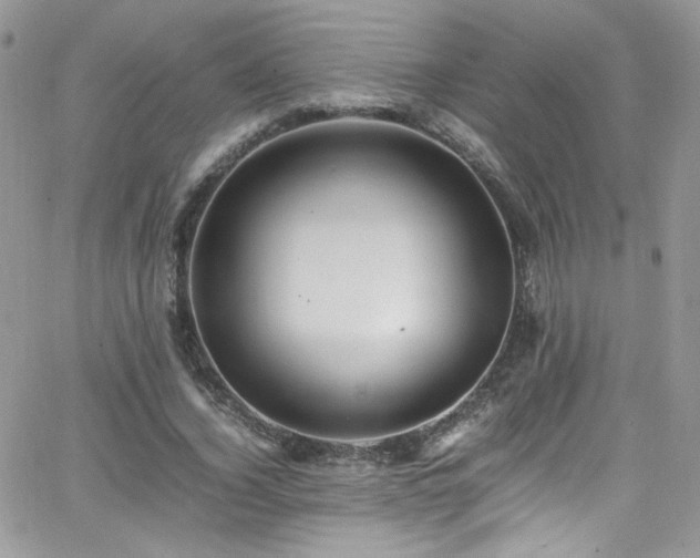 X0000066520732200603201323