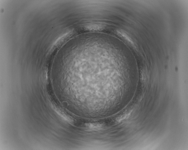 X0000066520733200603201323