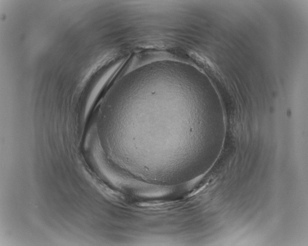 X0000066520735200603201323