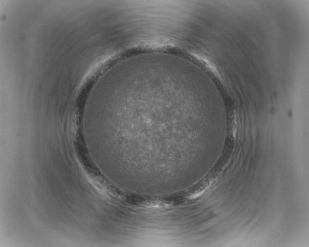 X0000066520736200603201323